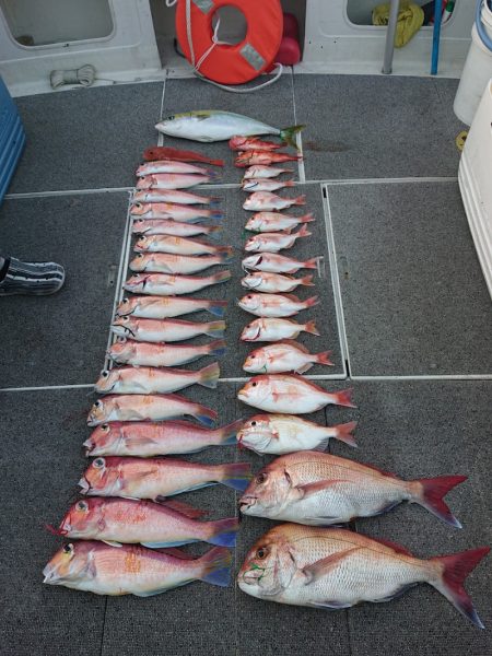 ARCADIAⅡ （アルカディアⅡ） 釣果…