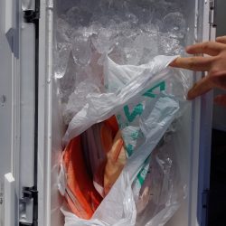 第二龍勢丸 釣果