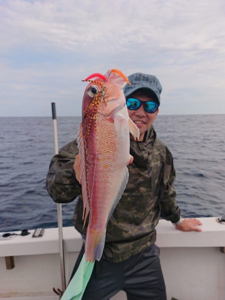 ARCADIAⅡ (アルカディアⅡ) 釣果