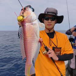 ARCADIAⅡ (アルカディアⅡ) 釣果