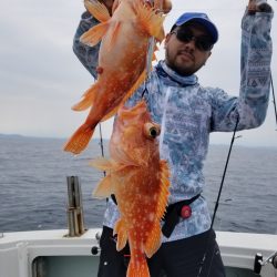 アマテラス 釣果