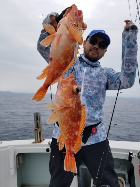 アマテラス 釣果