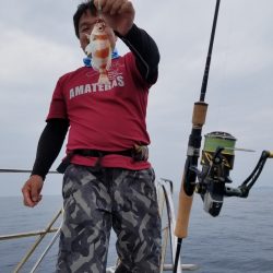 アマテラス 釣果