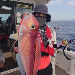 ARCADIAⅡ (アルカディアⅡ) 釣果