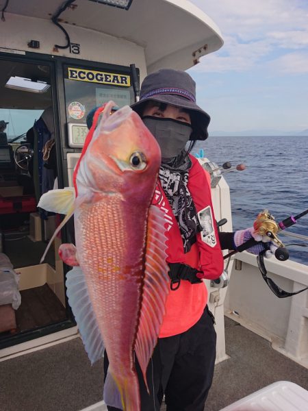 ARCADIAⅡ (アルカディアⅡ) 釣果