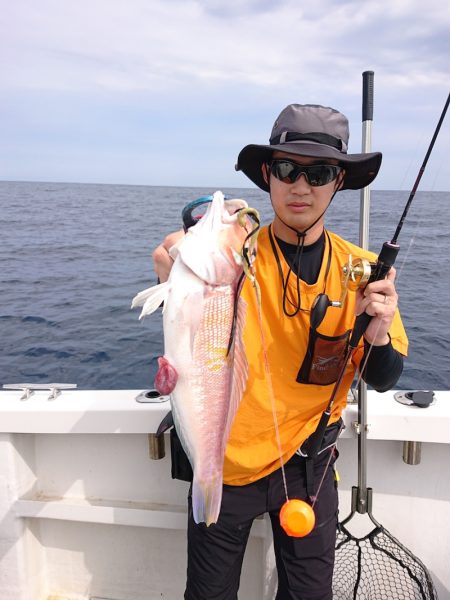 ARCADIAⅡ (アルカディアⅡ) 釣果