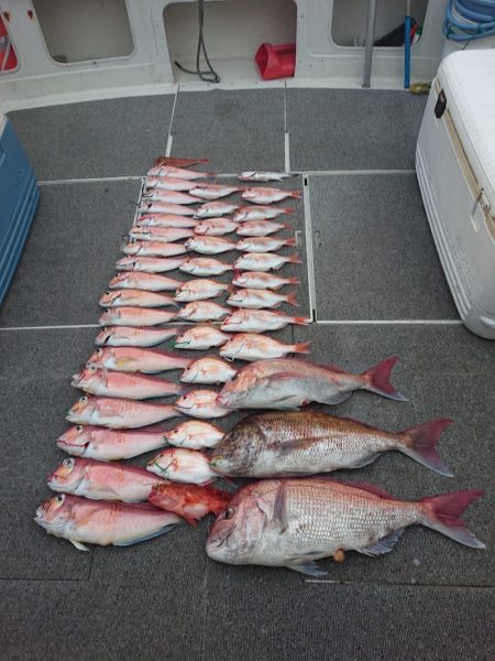 ARCADIAⅡ (アルカディアⅡ) 釣果