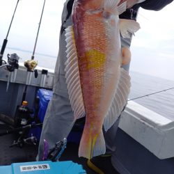 第二龍勢丸 釣果