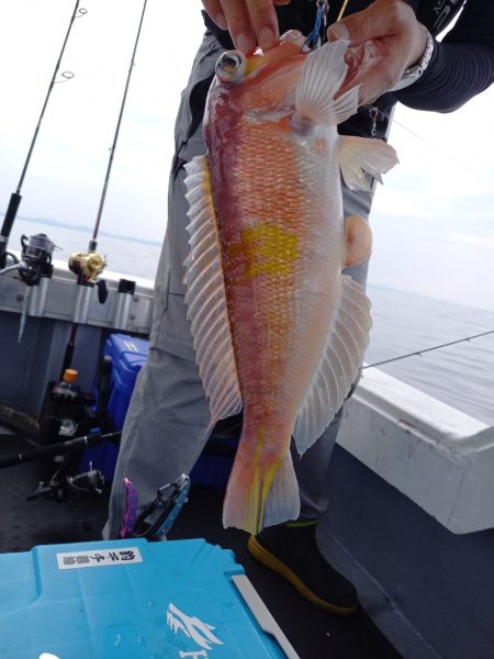 第二龍勢丸 釣果