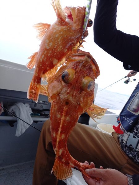 第二龍勢丸 釣果