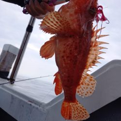 第二龍勢丸 釣果