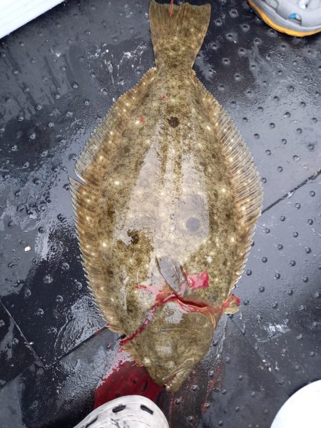 第二龍勢丸 釣果