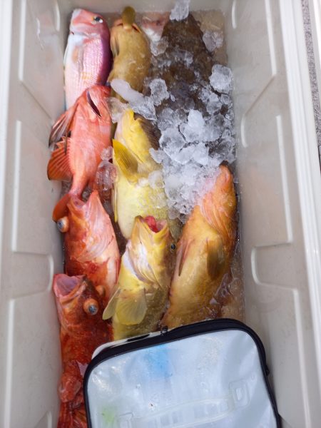 第二龍勢丸 釣果