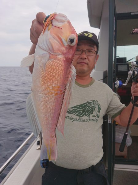 ARCADIAⅡ （アルカディアⅡ） 釣果