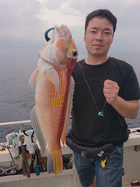 ARCADIAⅡ （アルカディアⅡ） 釣果