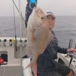 ARCADIAⅡ （アルカディアⅡ） 釣果