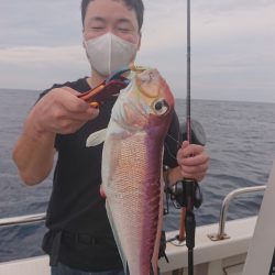 ARCADIAⅡ （アルカディアⅡ） 釣果