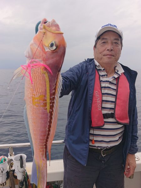 ARCADIAⅡ （アルカディアⅡ） 釣果