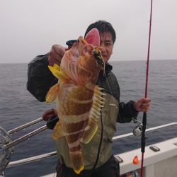 ARCADIAⅡ （アルカディアⅡ） 釣果