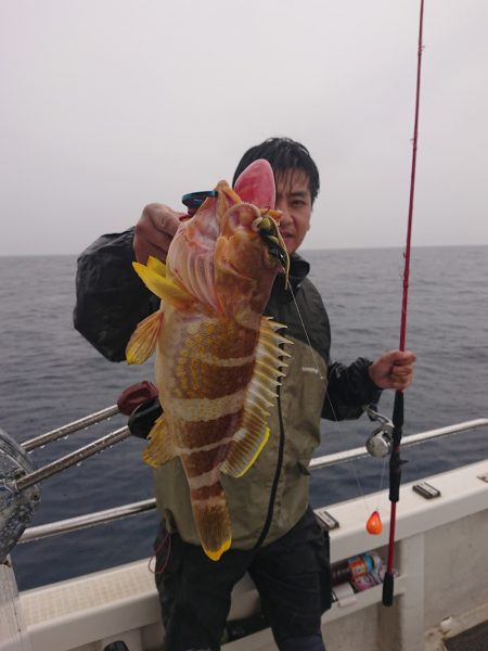 ARCADIAⅡ （アルカディアⅡ） 釣果