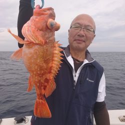 ARCADIAⅡ （アルカディアⅡ） 釣果