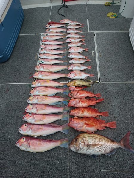 ARCADIAⅡ （アルカディアⅡ） 釣果