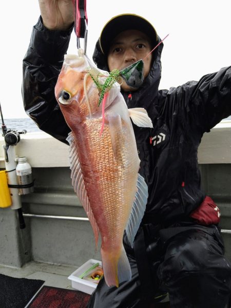 光生丸 釣果