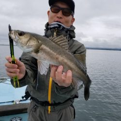 アマテラス 釣果