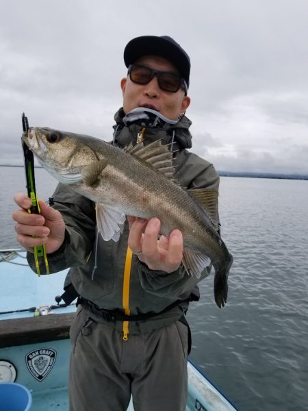 アマテラス 釣果