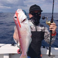 ARCADIAⅡ (アルカディアⅡ) 釣果