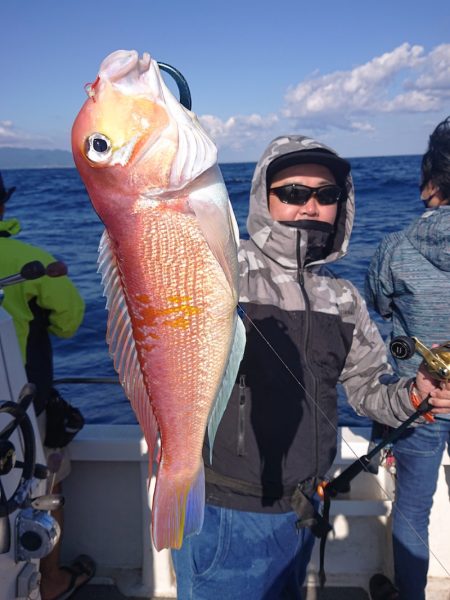 ARCADIAⅡ (アルカディアⅡ) 釣果