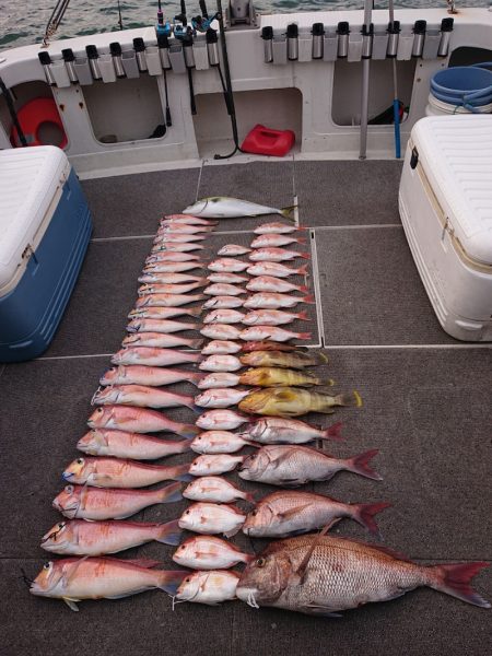 ARCADIAⅡ （アルカディアⅡ） 釣果…