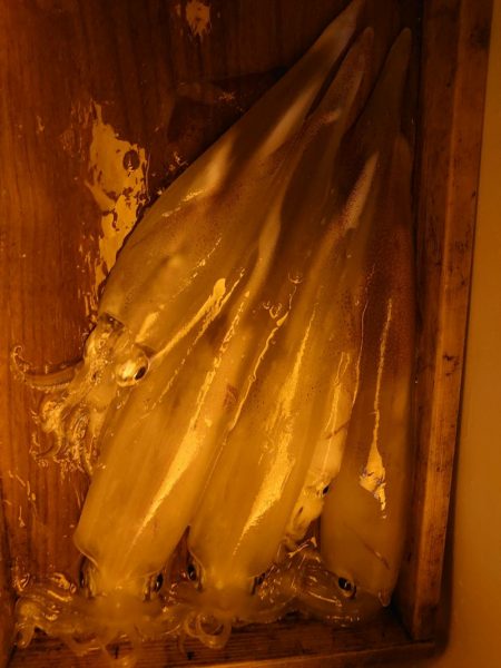 海龍丸（石川） 釣果