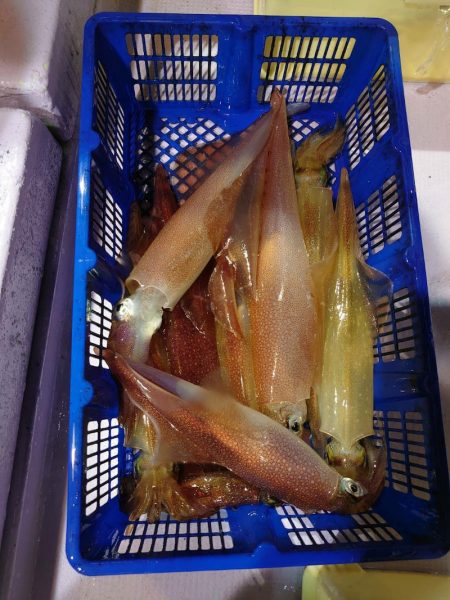 海龍丸（石川） 釣果