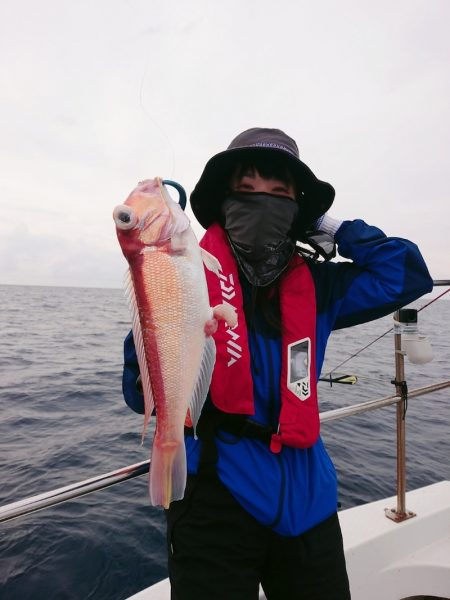 ARCADIAⅡ （アルカディアⅡ） 釣果…