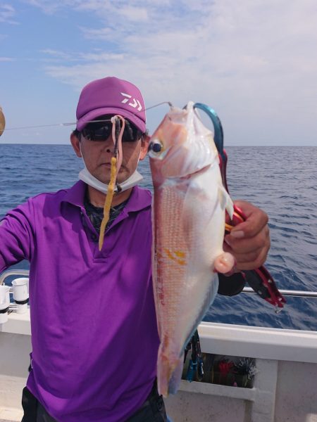 ARCADIAⅡ (アルカディアⅡ) 釣果