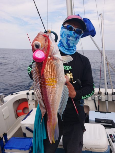 ARCADIAⅡ (アルカディアⅡ) 釣果