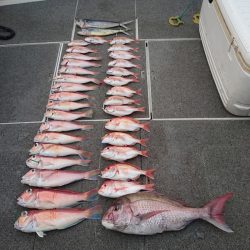 ARCADIAⅡ (アルカディアⅡ) 釣果