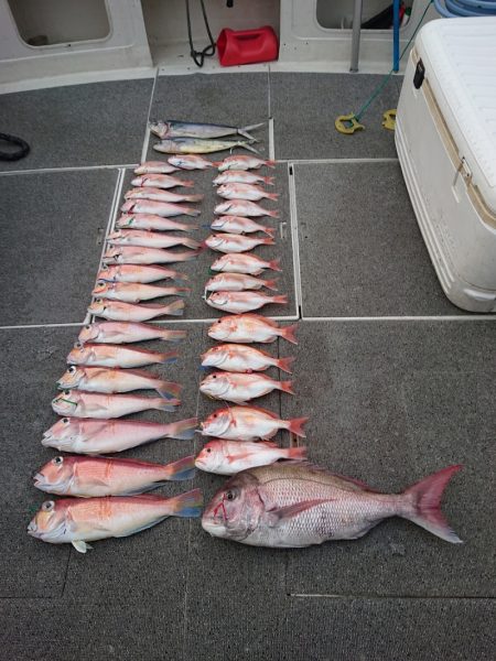 ARCADIAⅡ (アルカディアⅡ) 釣果