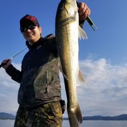 アマテラス 釣果