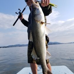 アマテラス 釣果