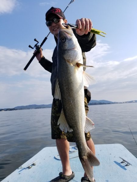 アマテラス 釣果