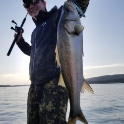 アマテラス 釣果