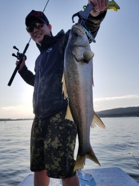 アマテラス 釣果