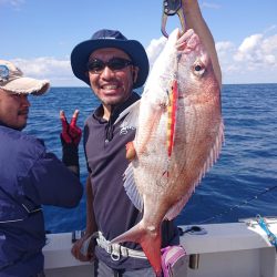 ARCADIAⅡ (アルカディアⅡ) 釣果