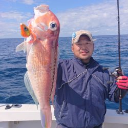 ARCADIAⅡ (アルカディアⅡ) 釣果