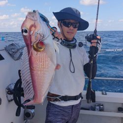 ARCADIAⅡ (アルカディアⅡ) 釣果