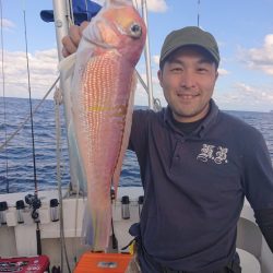 ARCADIAⅡ (アルカディアⅡ) 釣果