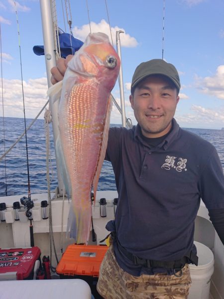 ARCADIAⅡ (アルカディアⅡ) 釣果