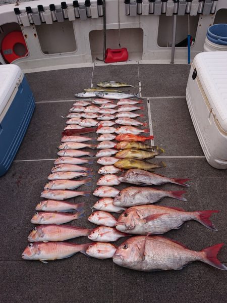 ARCADIAⅡ (アルカディアⅡ) 釣果